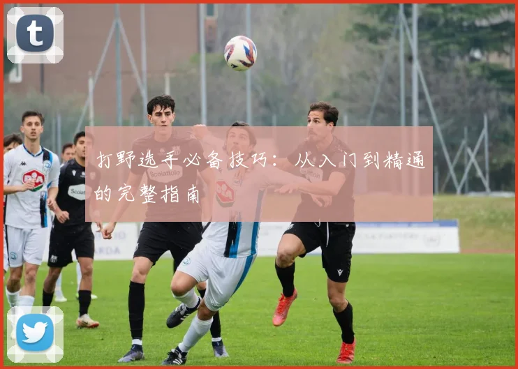 打野选手必备技巧：从入门到精通的完整指南