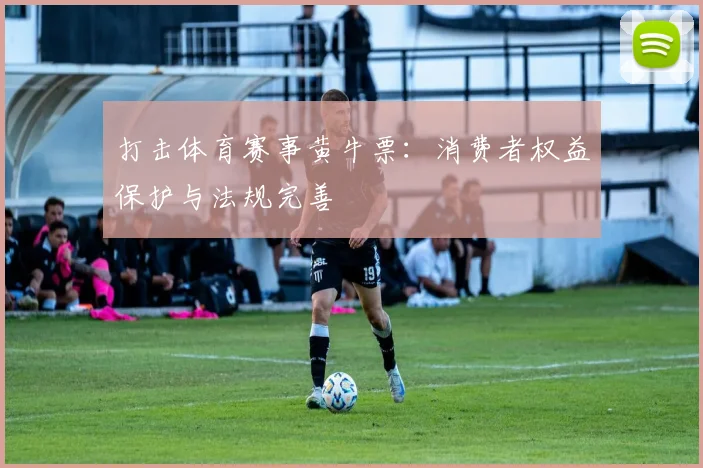 打击体育赛事黄牛票：消费者权益保护与法规完善